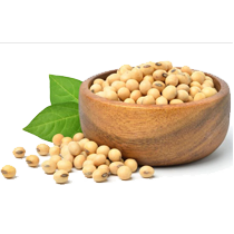 Soybeans